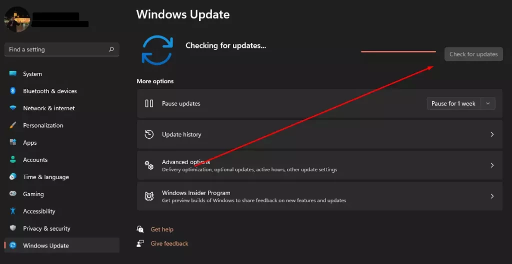download and install the latest update on Windows 11