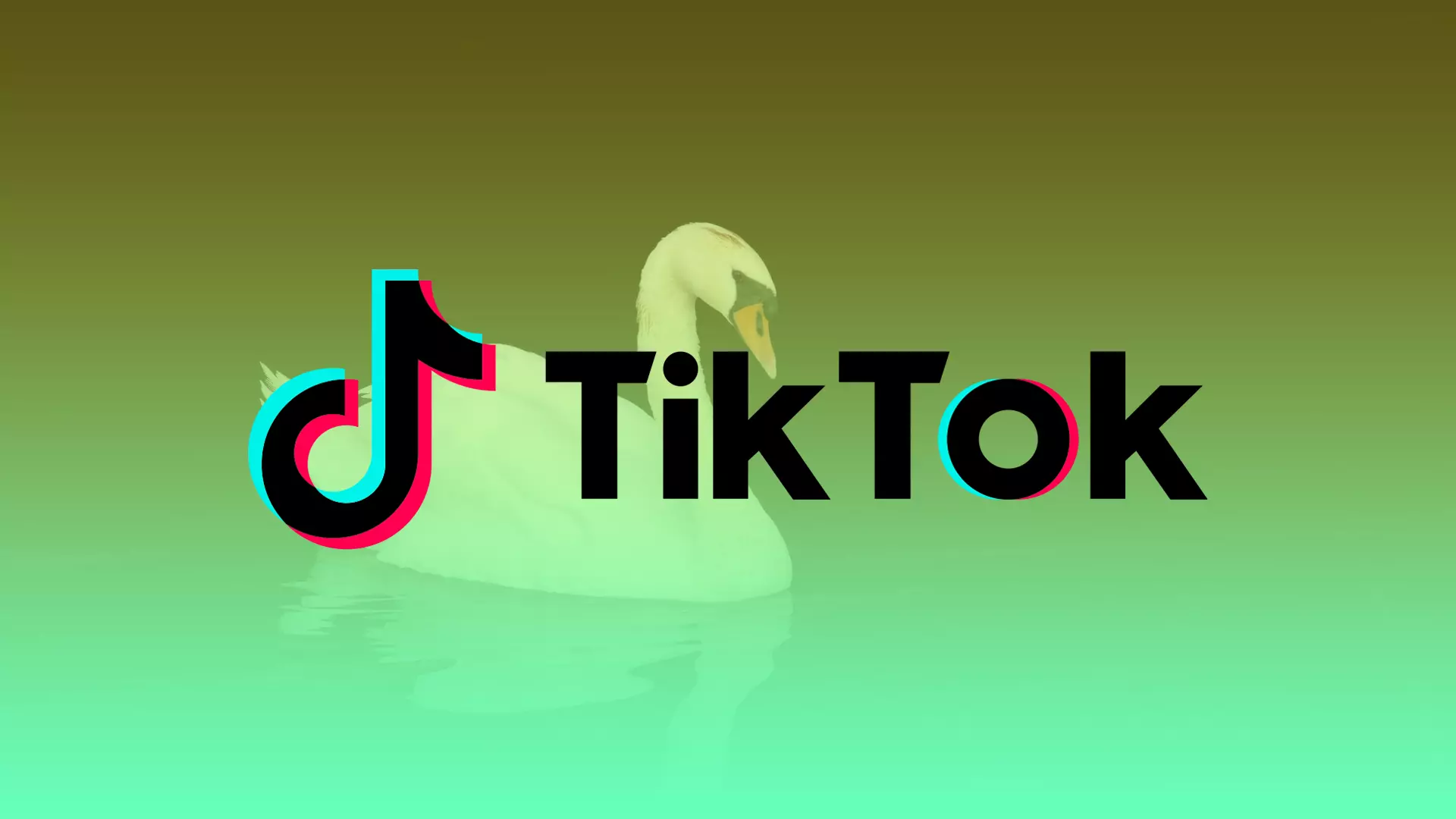 How much is a Swan gift worth on TikTok