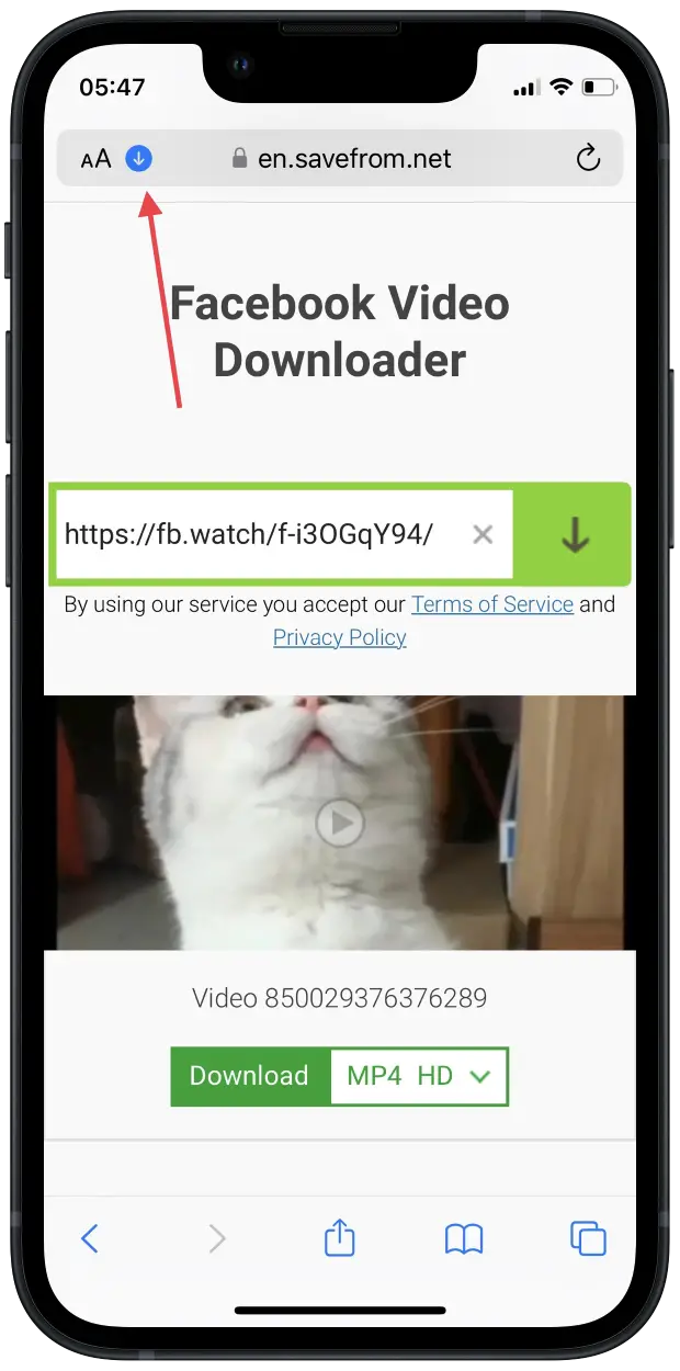 video downloader safari iphone