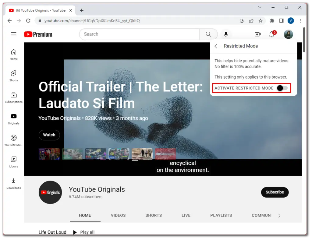 How to block YouTube on Roku | Tab-TV